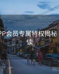 B体育APP会员专属特权揭秘｜数据解读
