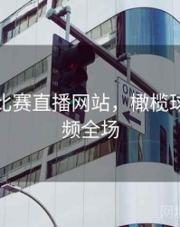 橄榄球比赛直播网站，橄榄球比赛视频全场