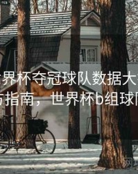 B体育世界杯夺冠球队数据大揭秘 - 官方指南，世界杯b组球队