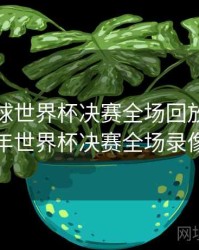 2018足球世界杯决赛全场回放，2018年世界杯决赛全场录像
