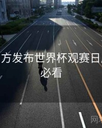 B体育官方发布世界杯观赛日历 - 新手必看