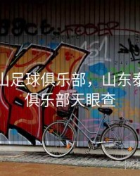山东泰山足球俱乐部，山东泰山足球俱乐部天眼查
