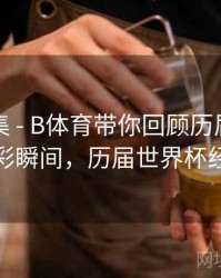 亮点合集 - B体育带你回顾历届世界杯精彩瞬间，历届世界杯经典