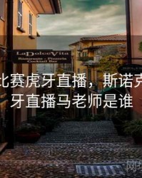 斯诺克比赛虎牙直播，斯诺克比赛虎牙直播马老师是谁