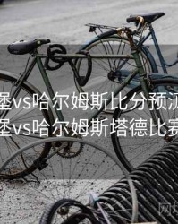 埃夫斯堡vs哈尔姆斯比分预测，埃尔夫斯堡vs哈尔姆斯塔德比赛结果