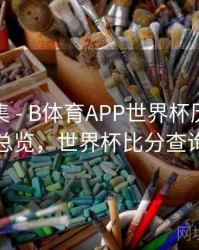 亮点合集 - B体育APP世界杯历史赛程总览，世界杯比分查询