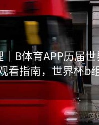 经典梳理｜B体育APP历届世界杯赛事集锦观看指南，世界杯b组赛程