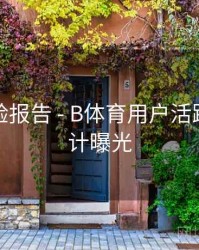 用户体验报告 - B体育用户活跃时间统计曝光