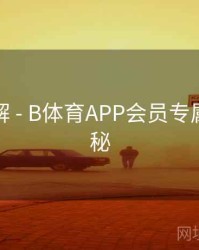 玩法详解 - B体育APP会员专属特权揭秘