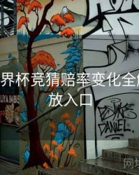 B体育世界杯竞猜赔率变化全解析｜回放入口
