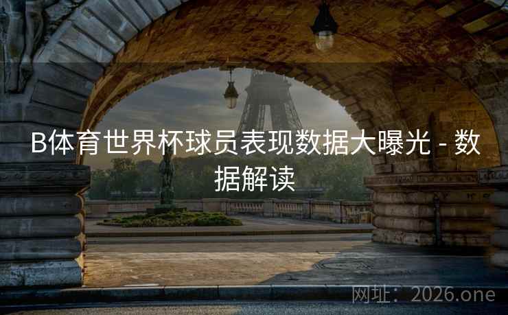 B体育世界杯球员表现数据大曝光 - 数据解读