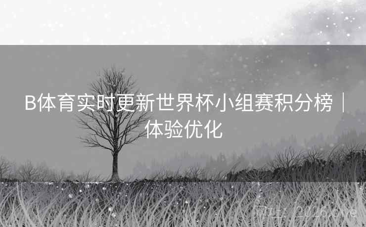 B体育实时更新世界杯小组赛积分榜｜体验优化