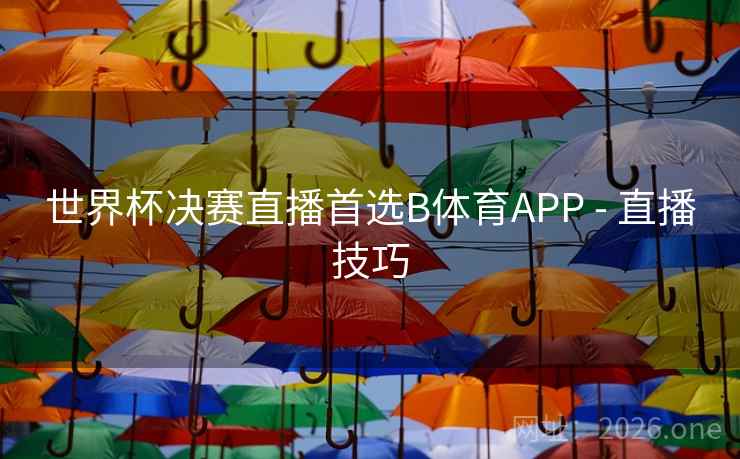 世界杯决赛直播首选B体育APP - 直播技巧