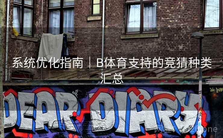 系统优化指南｜B体育支持的竞猜种类汇总