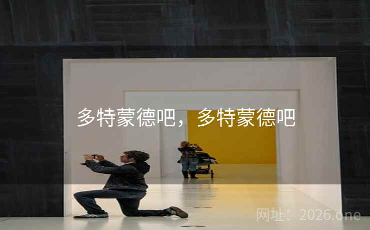 多特蒙德吧，多特蒙德吧