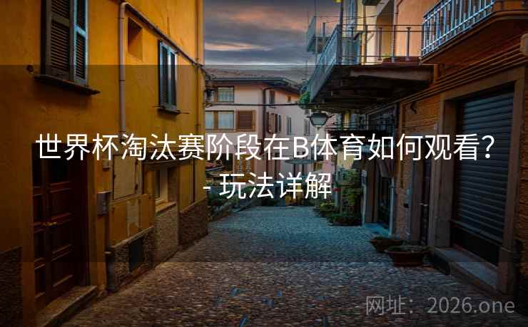 世界杯淘汰赛阶段在B体育如何观看？ - 玩法详解