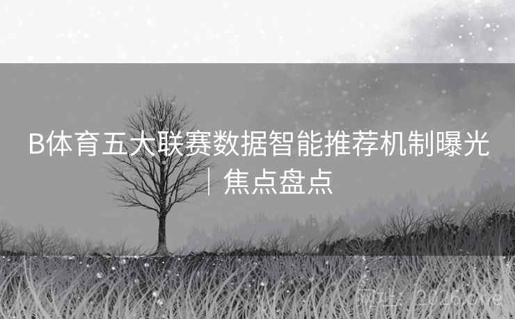 B体育五大联赛数据智能推荐机制曝光｜焦点盘点