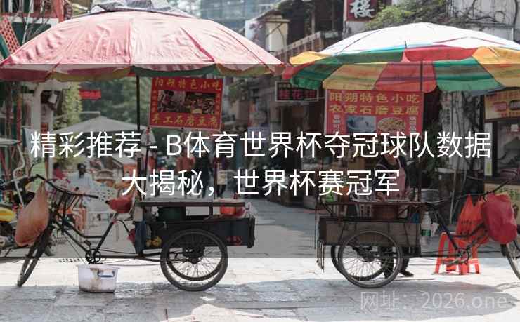 精彩推荐 - B体育世界杯夺冠球队数据大揭秘，世界杯赛冠军