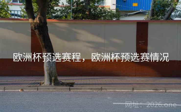 欧洲杯预选赛程，欧洲杯预选赛情况