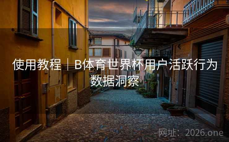 使用教程｜B体育世界杯用户活跃行为数据洞察