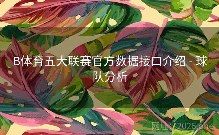 B体育五大联赛官方数据接口介绍 - 球队分析