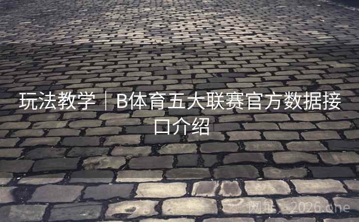 玩法教学｜B体育五大联赛官方数据接口介绍