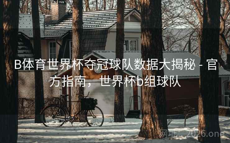 B体育世界杯夺冠球队数据大揭秘 - 官方指南，世界杯b组球队