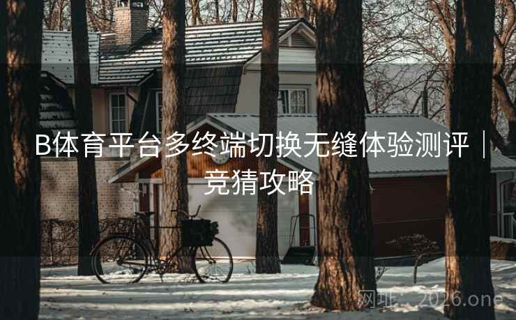 B体育平台多终端切换无缝体验测评｜竞猜攻略