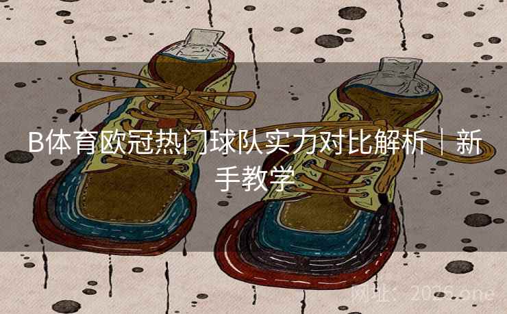 B体育欧冠热门球队实力对比解析｜新手教学