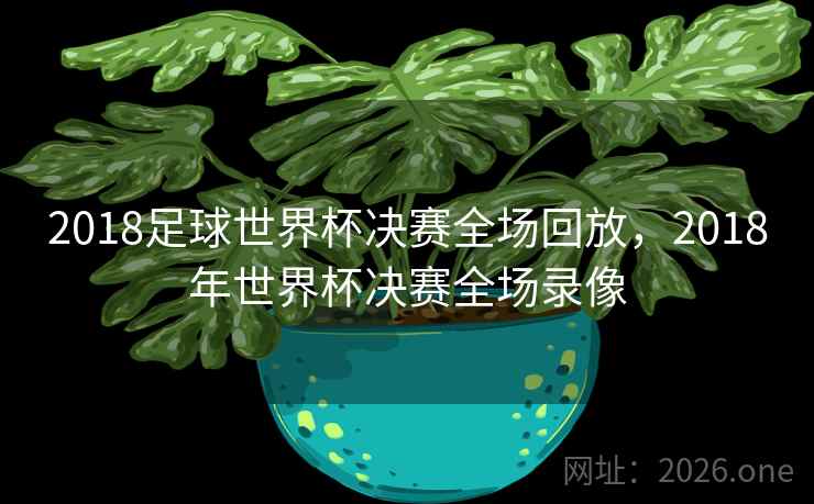2018足球世界杯决赛全场回放，2018年世界杯决赛全场录像