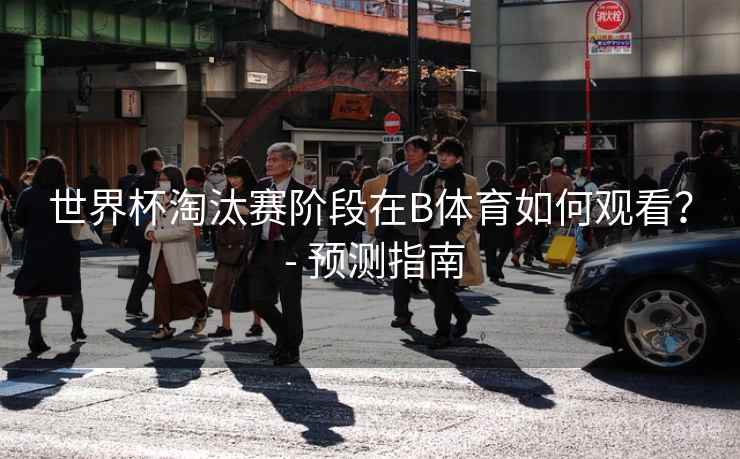 世界杯淘汰赛阶段在B体育如何观看？ - 预测指南