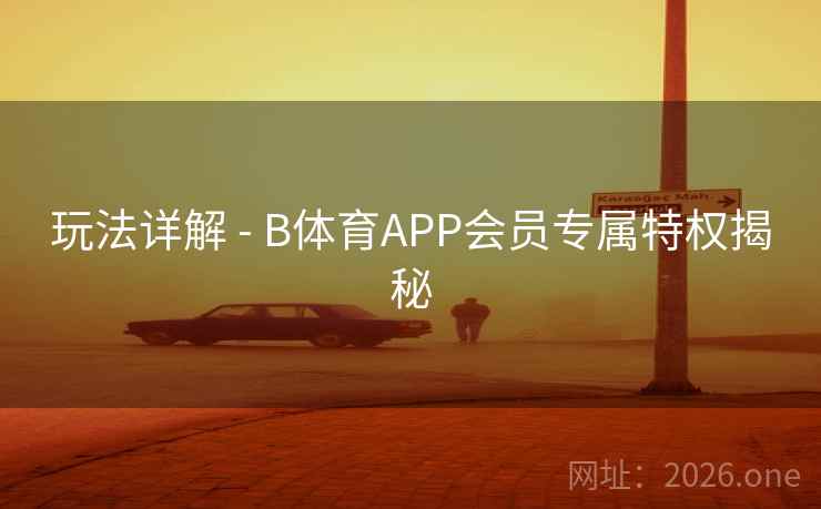 玩法详解 - B体育APP会员专属特权揭秘