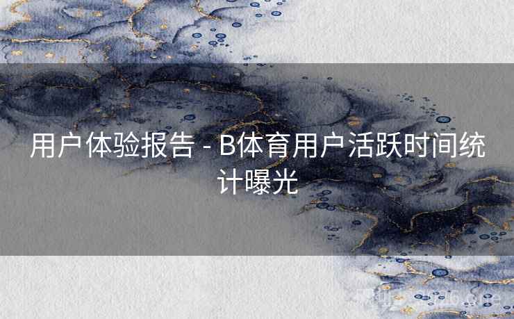 用户体验报告 - B体育用户活跃时间统计曝光