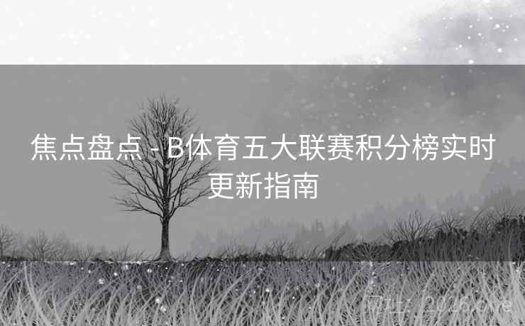 焦点盘点 - B体育五大联赛积分榜实时更新指南