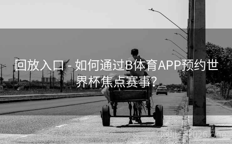 回放入口 - 如何通过B体育APP预约世界杯焦点赛事？